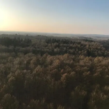 Kustenbrise Mit Waldblick Nr.290 Lejlighed
